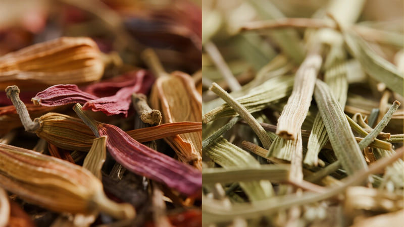 a vibrant, potent herb vs. a faded, degraded herb